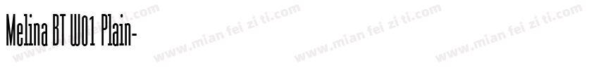Melina BT W01 Plain字体转换